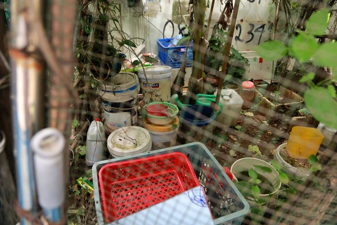 Khung cảnh bên trong vỉa hè bị chiếm dụng nhếch nhác với xô chậu, thùng xốp và phế liệu tạm bợ.