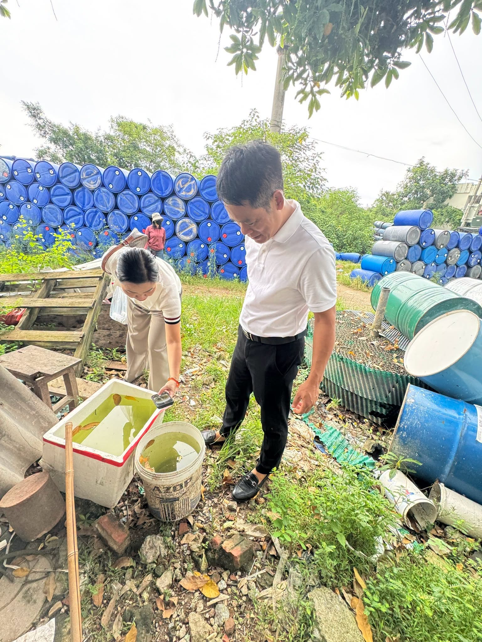 Thùng xốp và xô nhựa chứa nước đọng ngoài trời – nơi lý tưởng để muỗi vằn đẻ trứng và phát triển bọ gậy.