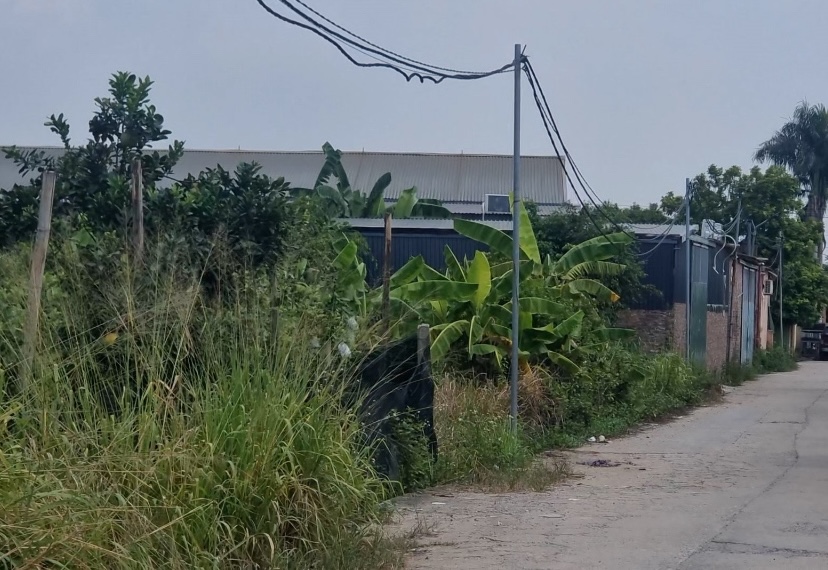 Công trình vi phạm tồn tại ngay sát khu dân cư, đe dọa an toàn hành lang lưới điện.