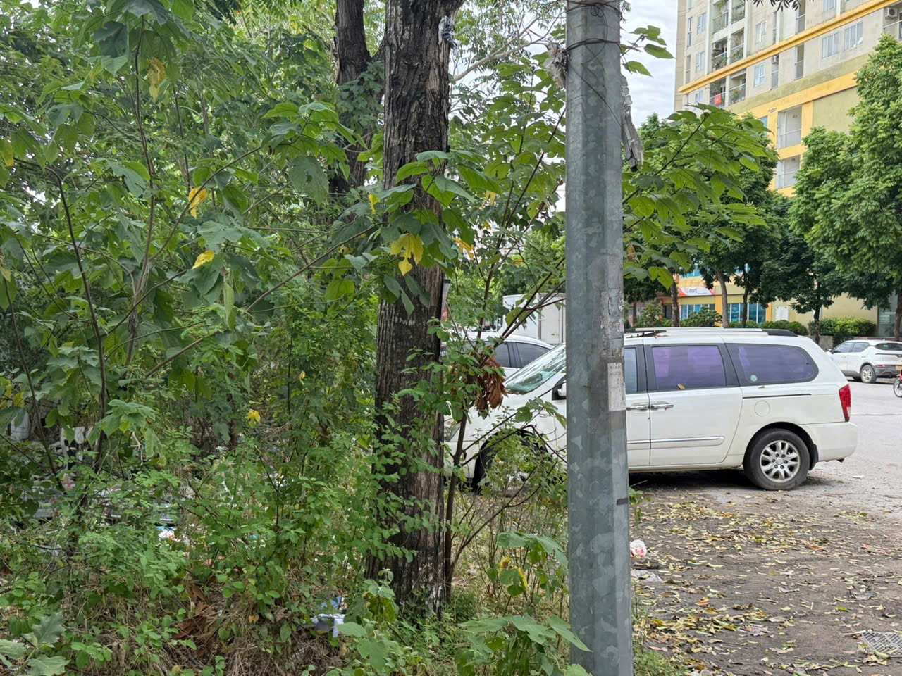 Cần sớm có biện pháp dọn dẹp và ngăn chặn triệt để tình trạng xả rác vô tội vạ này.