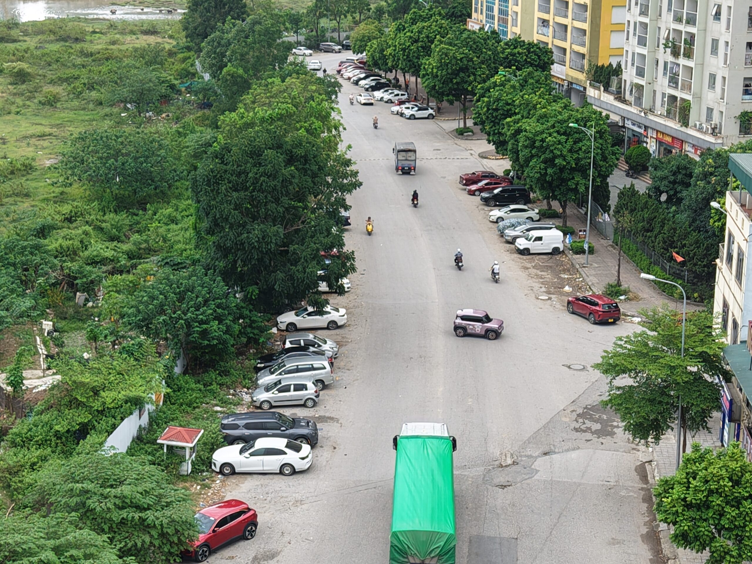Nhìn từ trên cao, rặng cây xanh đối diện sảnh chung cư đang bị bức tử bởi rác thải.