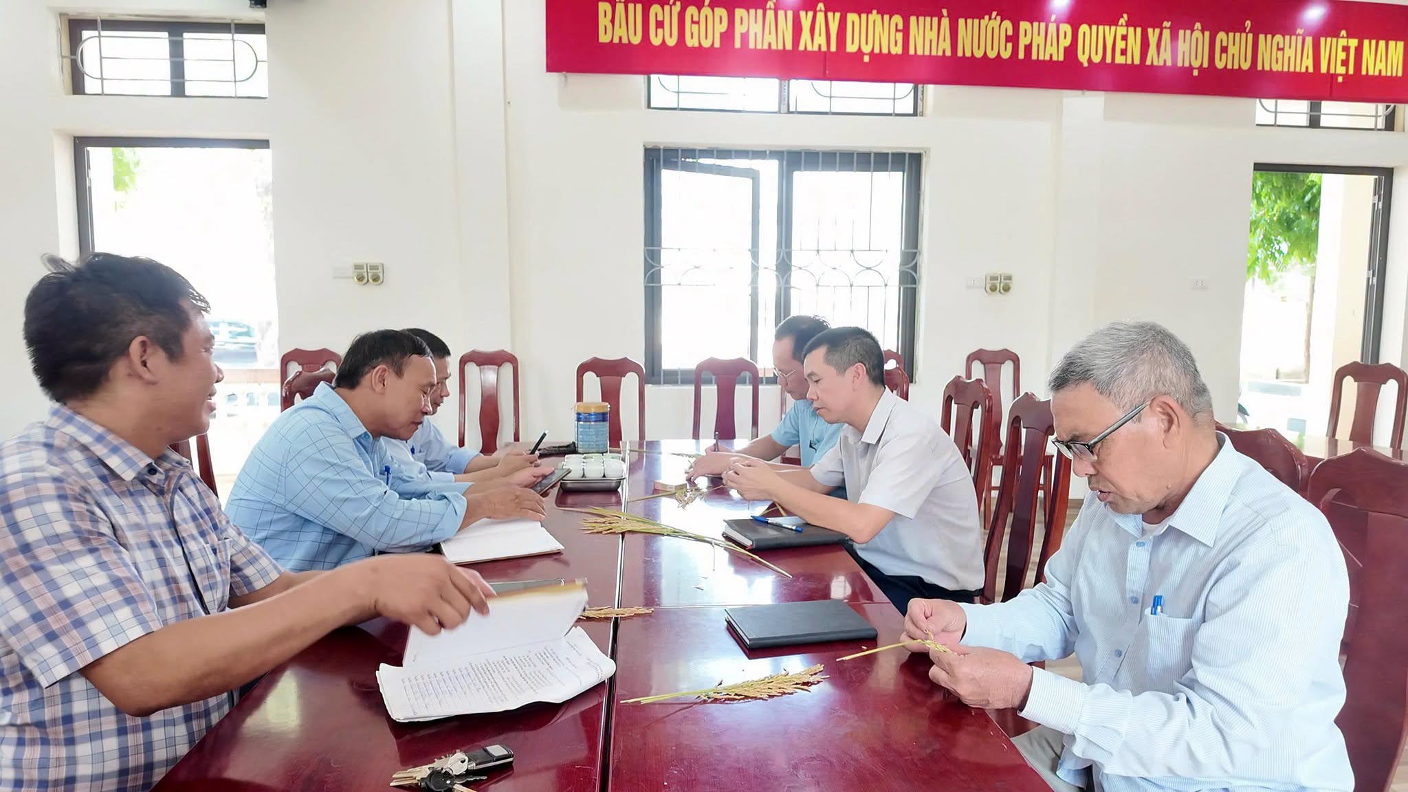 Việc đánh giá năng suất được thực hiện cẩn trọng, dựa trên các mẫu lúa thu thập trực tiếp từ đồng ruộng.